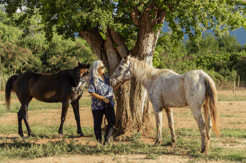 Ho'omaluhia volunteer stands with two horses.